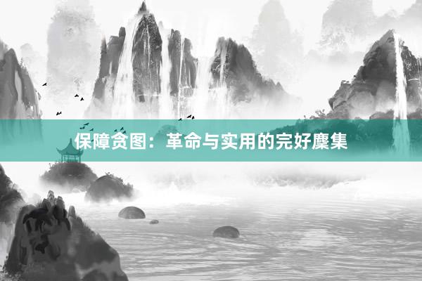 保障贪图:革命与实用的完好麇集