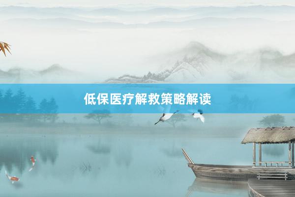 低保医疗解救策略解读