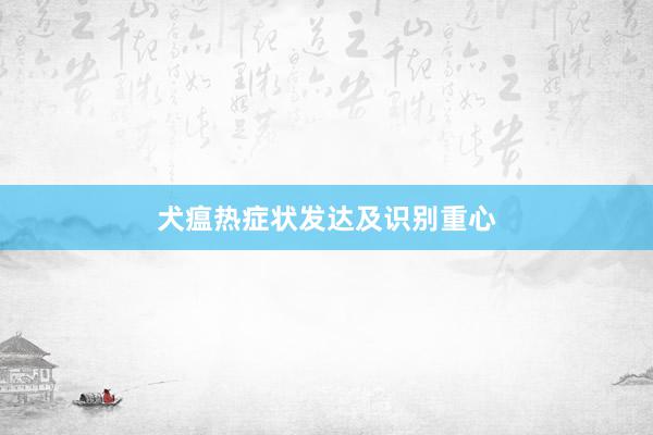 犬瘟热症状发达及识别重心